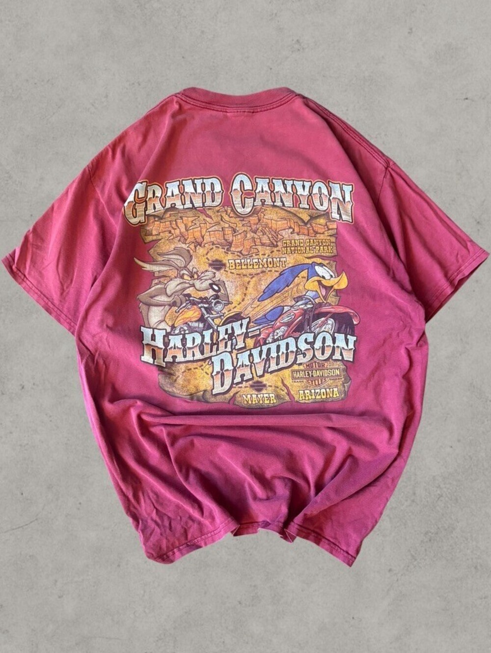 Vintage Harley Davidson Grand Canyon Looney Tunes Road Runner Shirt Size Large